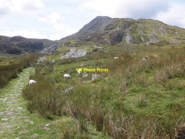 Photo 6"x4" The north east flank of Moel Siabod Capel Curig c2014
