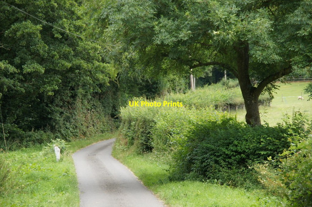 Photo 6"x4" Minor road at Hergest Bridge, Kington Kington\/SO2956 c2014