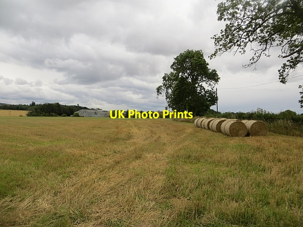 Photo 6"x4" Round bales, Springfield Saucher c2013