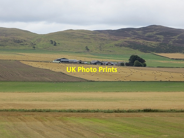 Photo 6"x4" Round bales, Buttergask Burrelton c2013