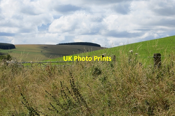 Photo 6"x4" Overgrown gateway, Brotherstone Gilston\/NT4456 c2014