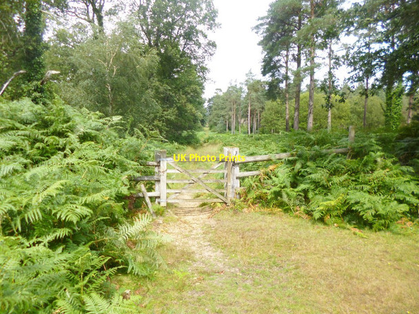 Photo 6"x4" Alderhill Inclosure, gate Ogdens c2014