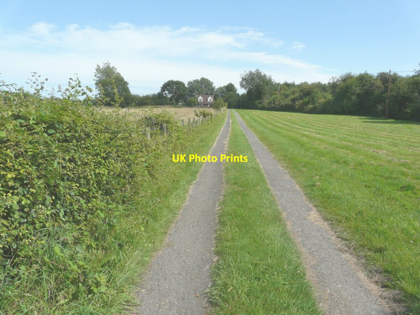 Photo 6"x4" Track to The Laurels North Leigh\/TR1347 c2014