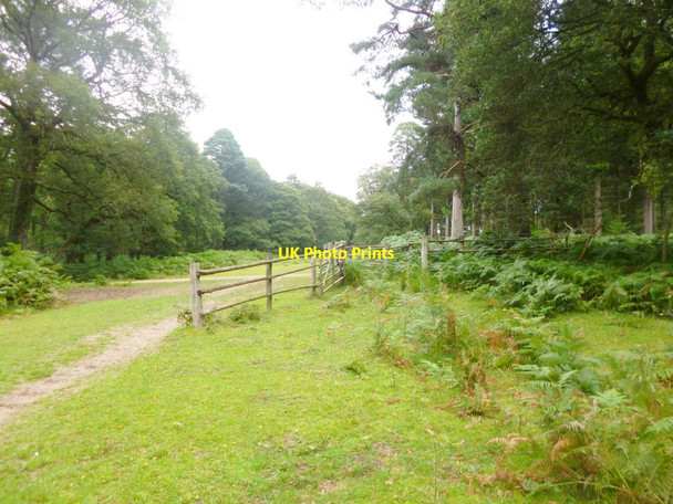 Photo 6"x4" Alder Hill, pound Ogdens c2014