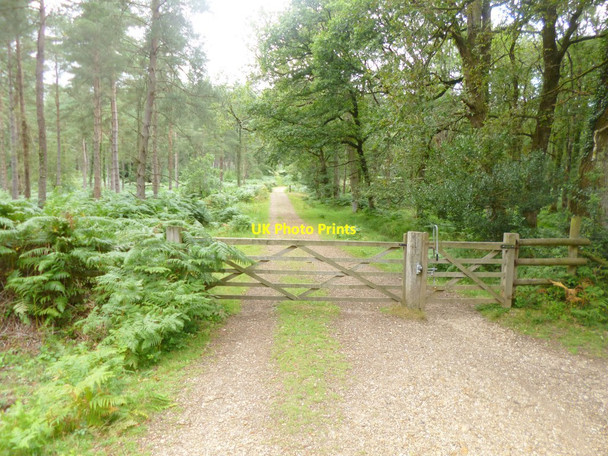 Photo 6"x4" Alderhill Inclosure, gates Ogdens c2014