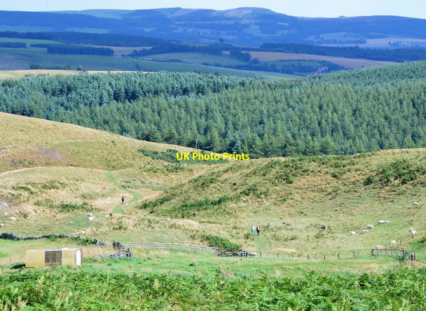 Photo 6"x4" Path near Brown's Law Middleton Hall\/NT9825 c2014