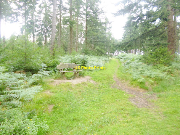 Photo 6"x4" Alderhill Inclosure, seat Ogdens c2014