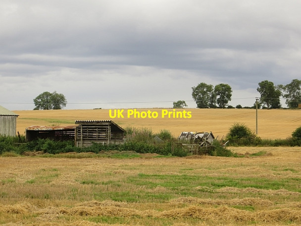 Photo 6"x4" Barley, Draffin Rosemount\/NO1943 c2013