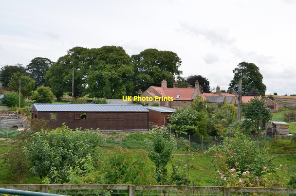 Photo 6"x4" Cottages, East Horton East Horton c2014