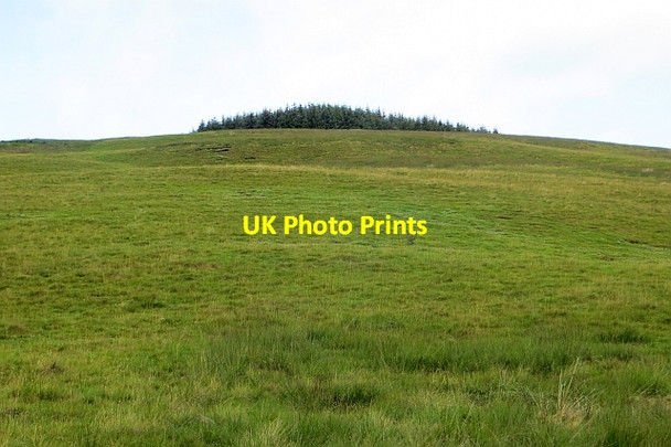 Photo 6"x4" Slopes of Glendowran Hill Leadhills c2014