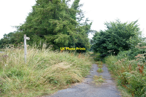 Photo 6"x4" Footpath to Holywell Cottage, Eardisley Field\/SO3050 c2014