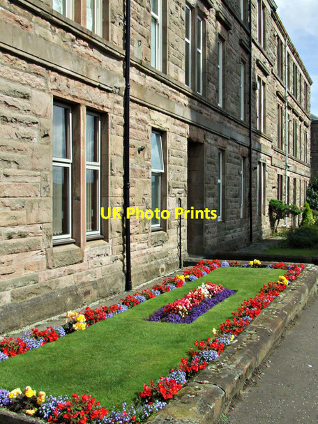 Photo 6"x4" Garden at Castle Mansions Gourock c2014