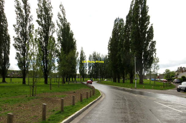 Photo 6"x4" Racecourse Road in Newbury Newbury\/SU4767 c2014