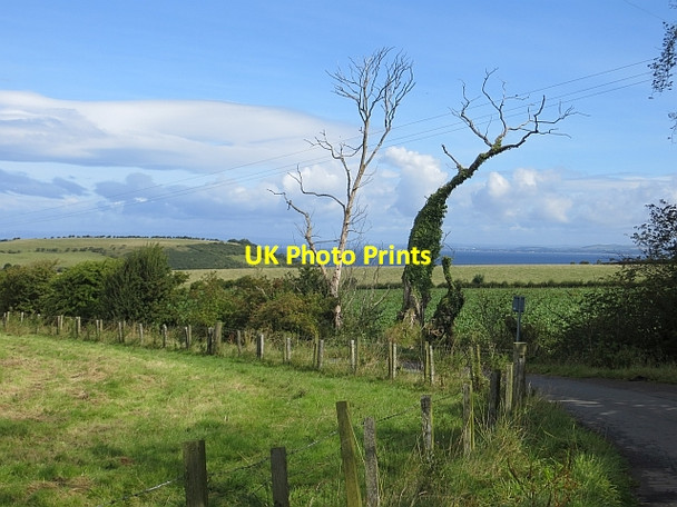 Photo 6"x4" Carrick Hills Road Doonfoot c2014