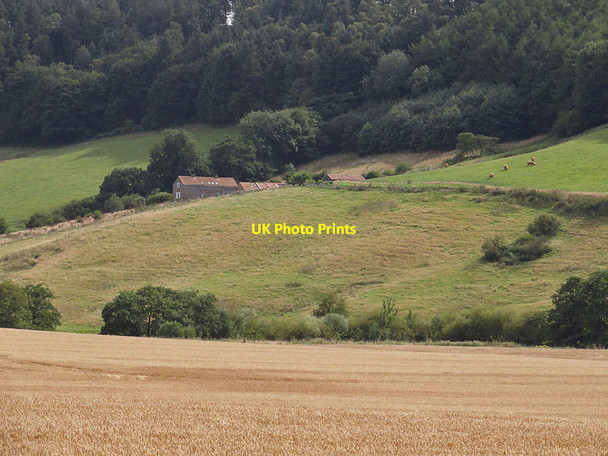 Photo 6"x4" North Stile Cottage Hackness\/SE9790 c2014