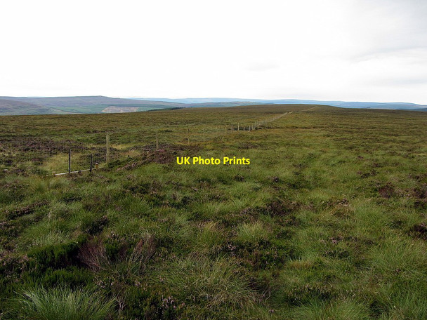 Photo 6"x4" Fence south of Limestone Knowe Limestone Knowe c2014