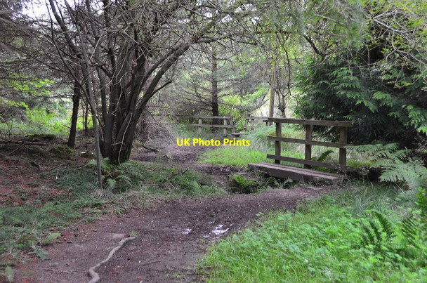 Photo 6"x4" Footbridge and stile, Kyloe Wood Detchant c2014