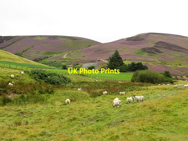 Photo 6"x4" West Hopes Hopes Water\/NT5562 c2014