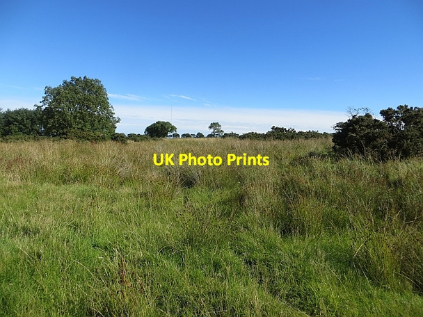 Photo 6"x4" Wetland, Kinaldy Radernie\/NO4709 c2013