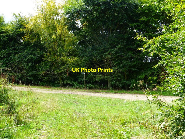 Photo 6"x4" Footpath sign north of Upper Farringdon Upper Farringdon c2014
