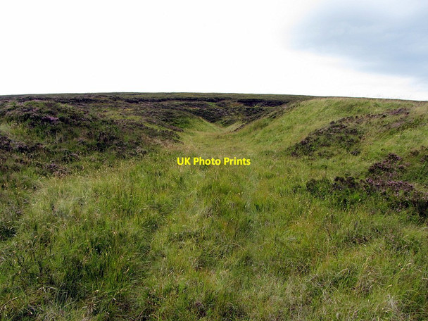 Photo 6"x4" Entrance to disused quarry, Whitelee Moor Whitelee\/NT7105 c2014