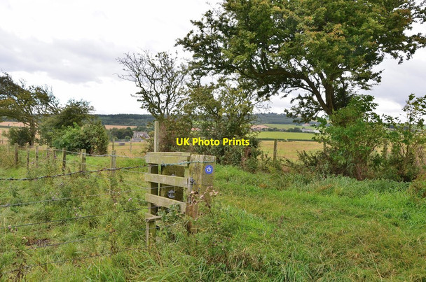Photo 6"x4" Lane above Fenwick Granary Fenwick\/NU0640 c2014