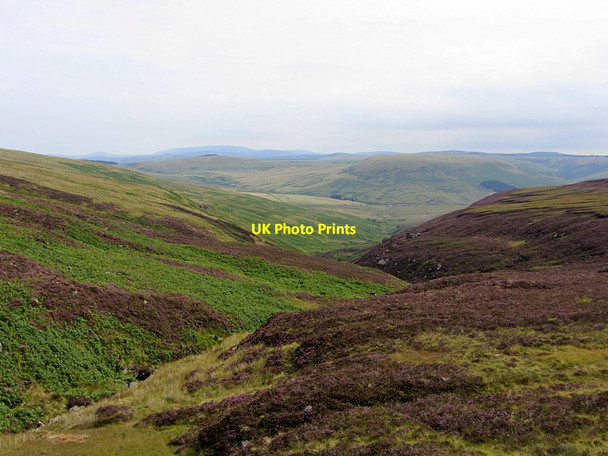 Photo 6"x4" Bateinghope Burn Whitelee\/NT7105 c2014