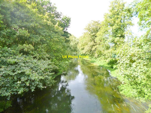 Photo 6"x4" Cowley, River Colne Uxbridge c2014