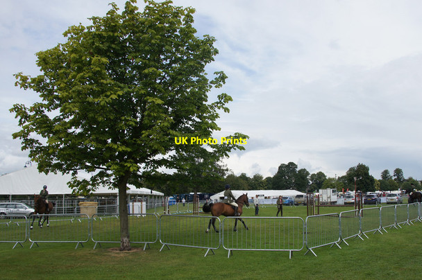 Photo 6"x4" Horses at the Perth Show at the South Inch Perth\/NO1123 c2014