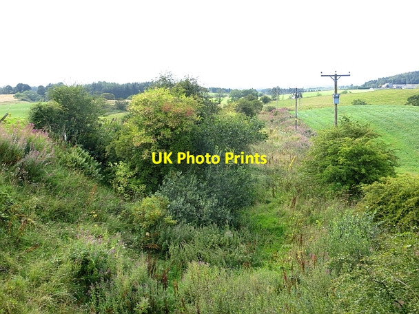 Photo 6"x4" Railway trackbed, Stockbridge Dunblane c2014