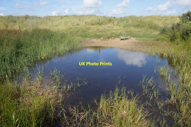 Photo 6"x4" Pond in Birkdale dunes Hillside\/SD3214 c2014