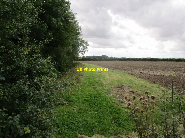 Photo 6"x4" Footpath alongside Brackenborough Wood Little Grimsby c2014