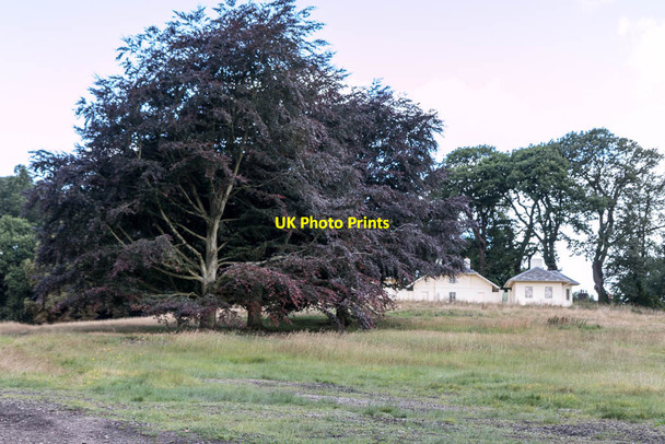 Photo 6"x4" Parkland Kenwood House, Hampstead, London NW3 Hampstead\/TQ2685 c2014