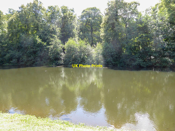 Photo 6"x4" Thousand Pound Pond, Kenwood, Hampstead, London NW3 Hampstead\/TQ2685 c2014