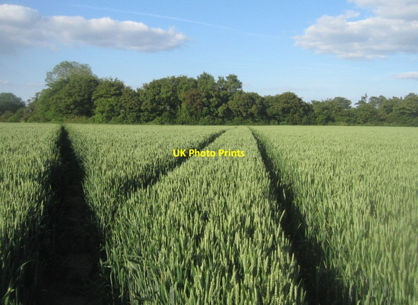 Photo 6"x4" Spot the footpath Pardown c2014