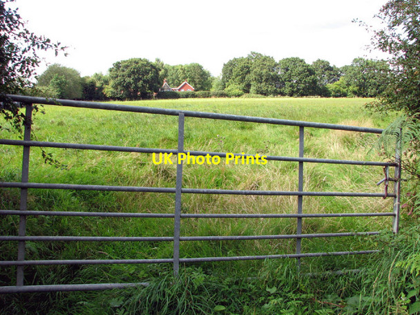 Photo 6"x4" Gate into pasture beside Leach's Turn Surlingham c2014