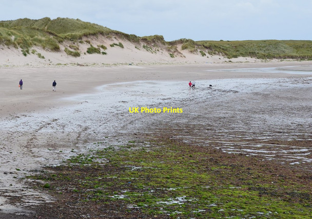 Photo 6"x4" Sandham Bay, Holy Island Holy Island\/NU1241 c2014
