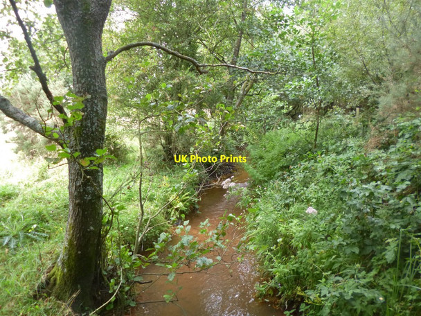 Photo 6"x4" Tadnoll, ditch Blacknoll c2014