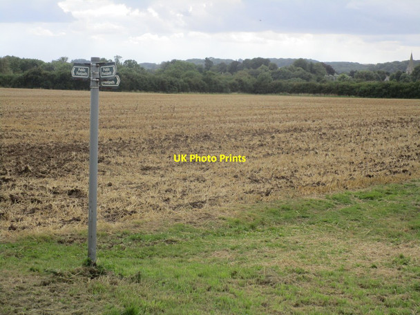 Photo 6"x4" Junction of paths Little Grimsby c2014