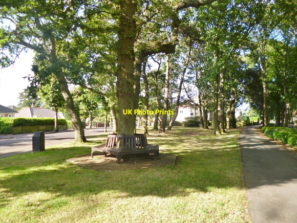 Photo 6"x4" Southbourne, open space Christchurch\/SZ1592 c2014