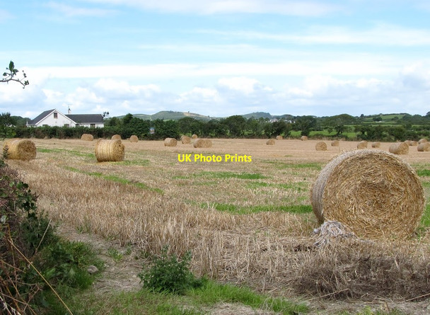 Photo 6"x4" Modern bungalow in the Townland of Ballymurry Bishops Court\/J5642 c2014
