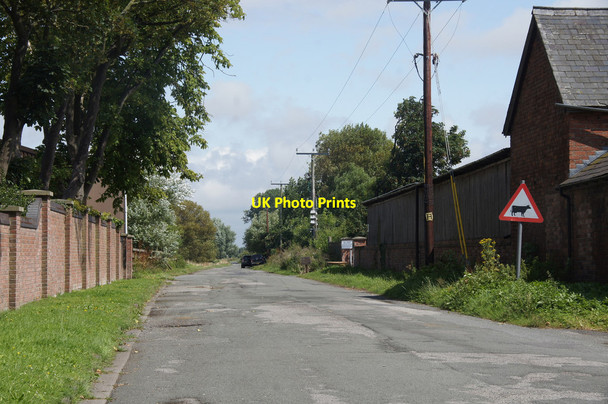 Photo 6"x4" North Moss Lane, Formby Formby c2014