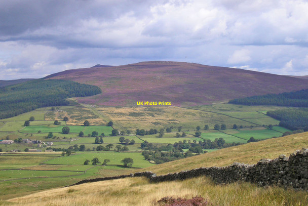 Photo 6"x4" Barden Fell Howgill\/SE0659 c2014