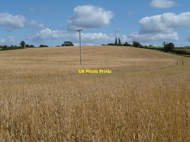 Photo 6"x4" Nethercote Farmland Nethercote\/SP5164 c2014