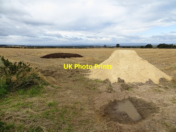 Photo 6"x4" Stubble, Camptoun Camptoun c2014