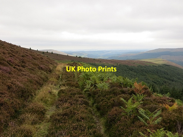 Photo 6"x4" Minchmuir Road Hangingshaw\/NT3930 c2013