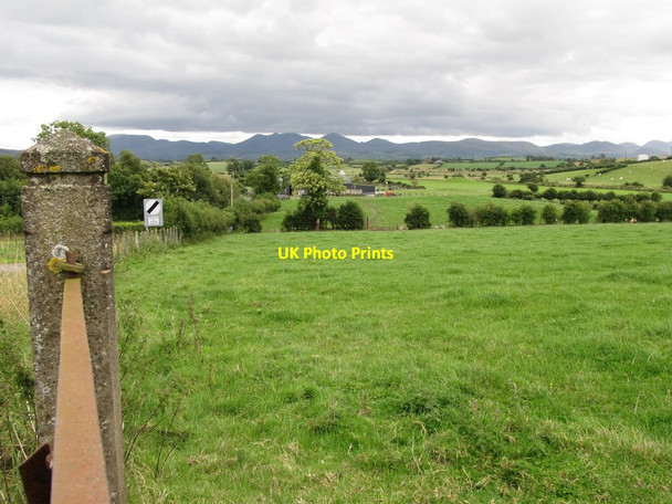 Photo 6"x4" Grazing land on the outskirts of Moneyslane Ballyroney c2014