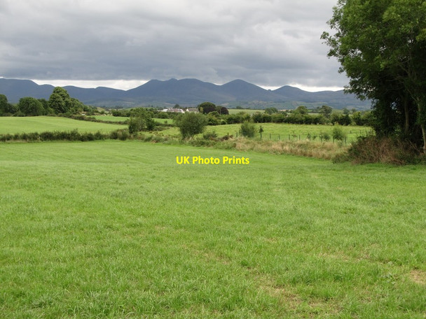 Photo 6"x4" Farmland east of Dromara Road at Moneyslane Ballyroney c2014