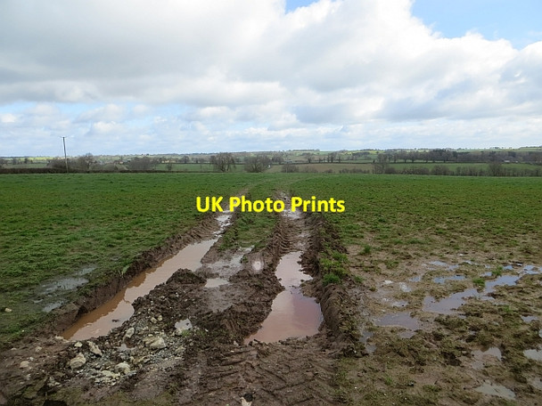 Photo 6"x4" Field near The Bold Wrickton c2014