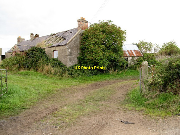 Photo 6"x4" Derelict cottage on Eelwire Road, Moneyslane Ballyward c2014